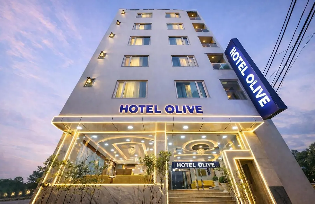 Hotel De Grand - Olive Aero Suites Near Delhi Airport By Avana Group-1